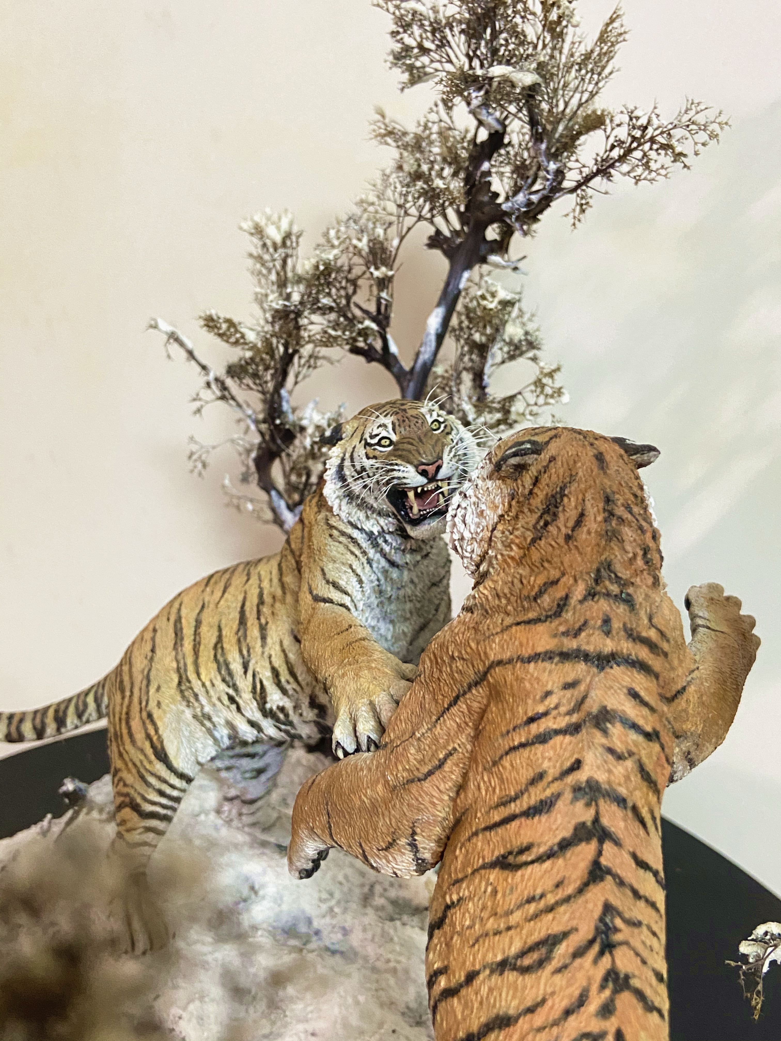 The Battle of Siberia Siberian Tiger Scene Model