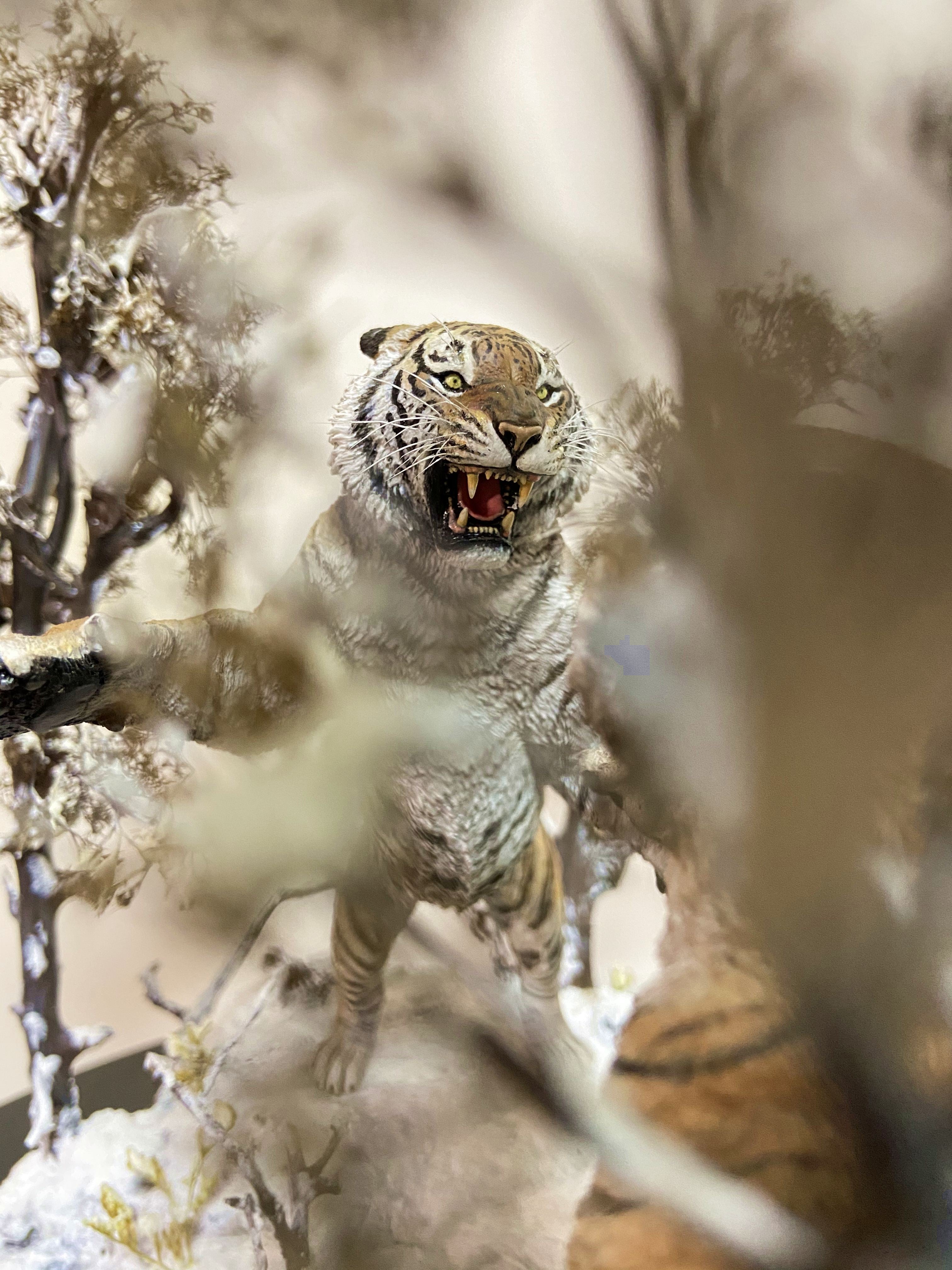 The Battle of Siberia Siberian Tiger Scene Model