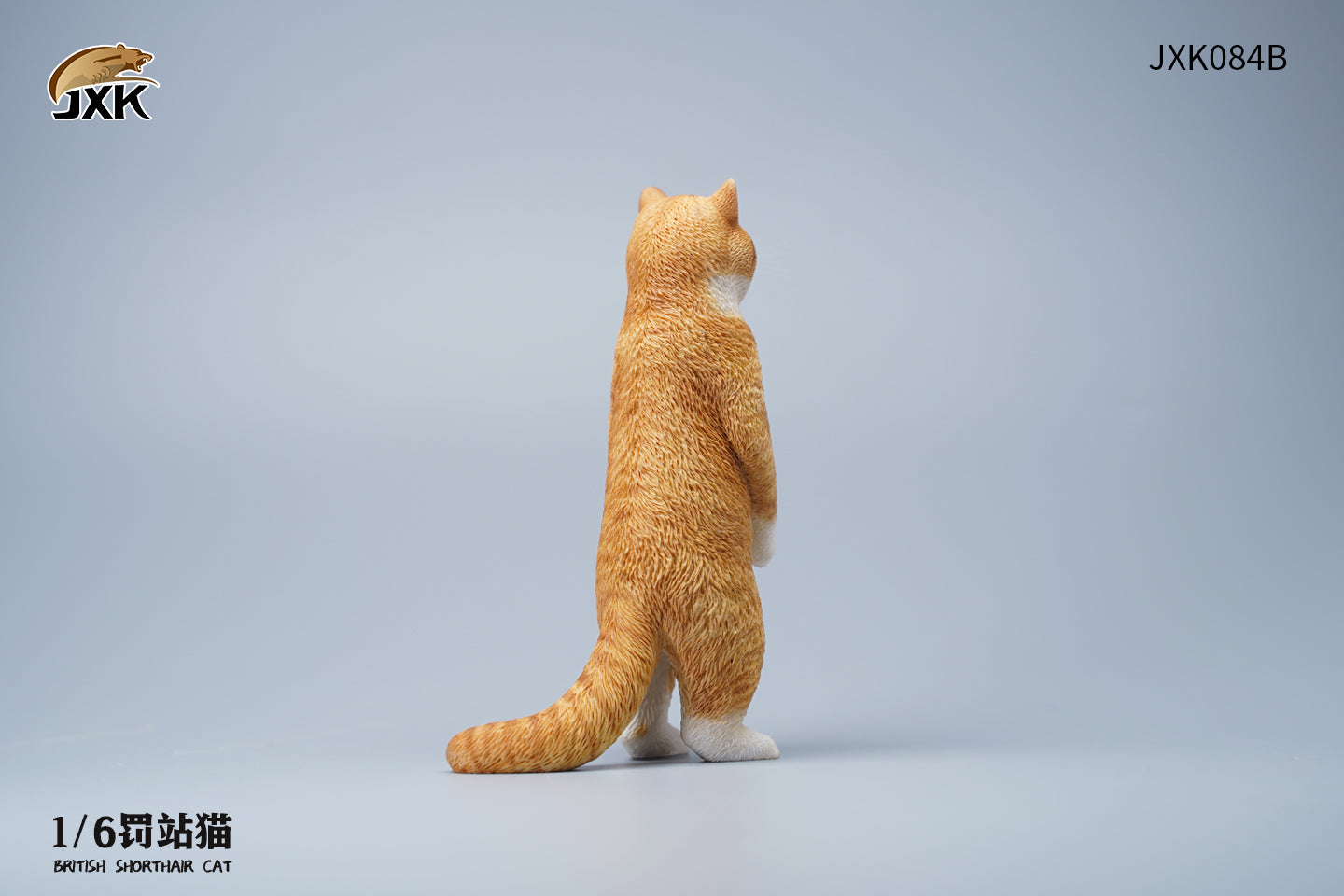 JXK 1/6 British Shorthair Cat