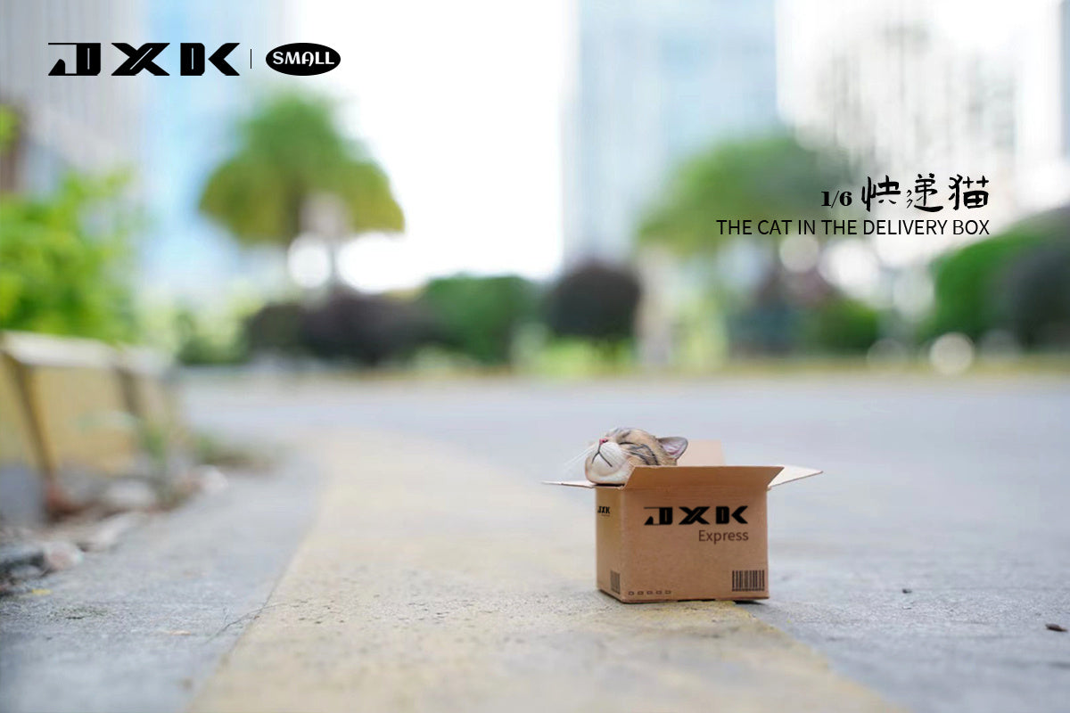 JXK The Cat In The Delivery Box Model