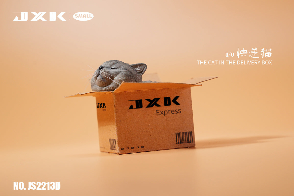 JXK The Cat In The Delivery Box Model
