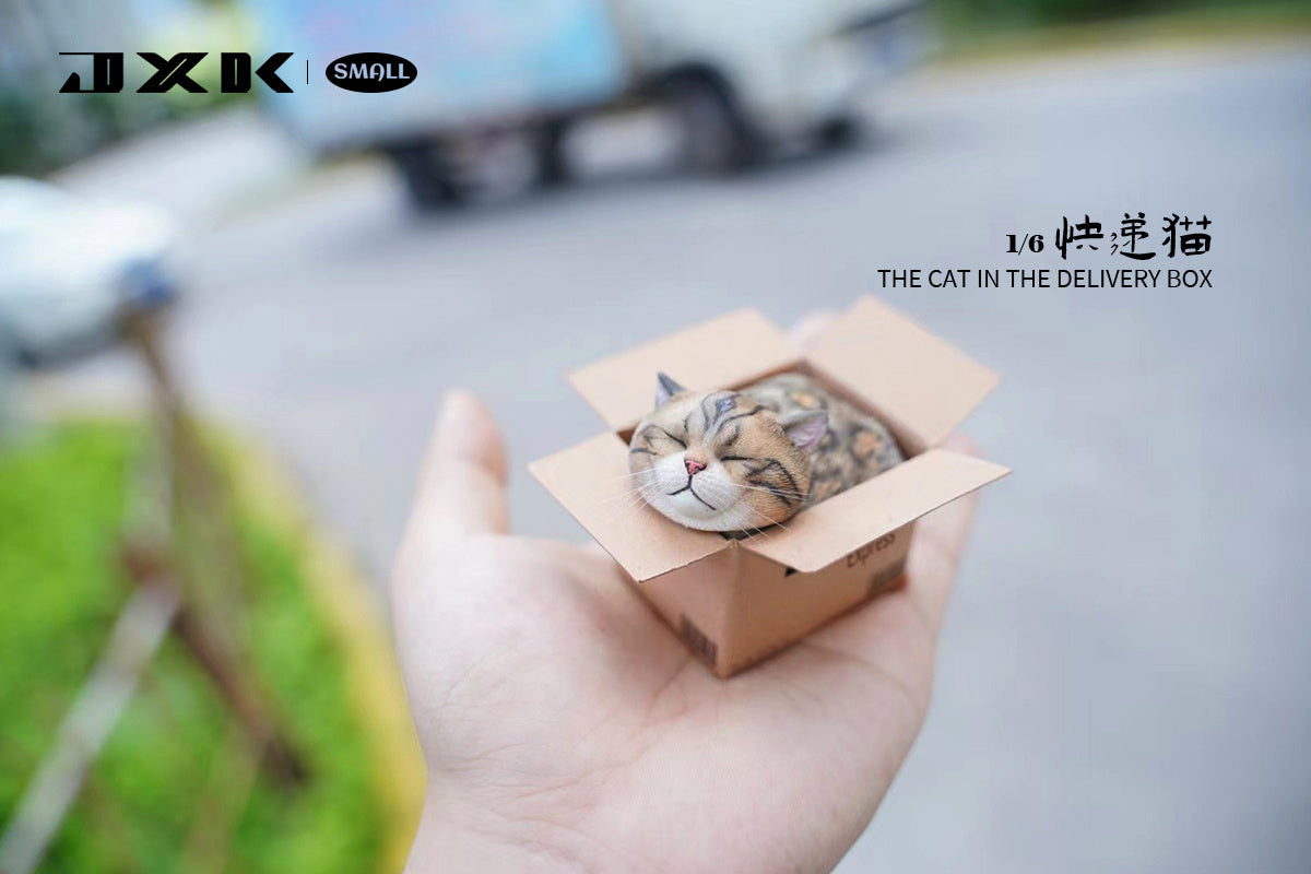 JXK The Cat In The Delivery Box Model