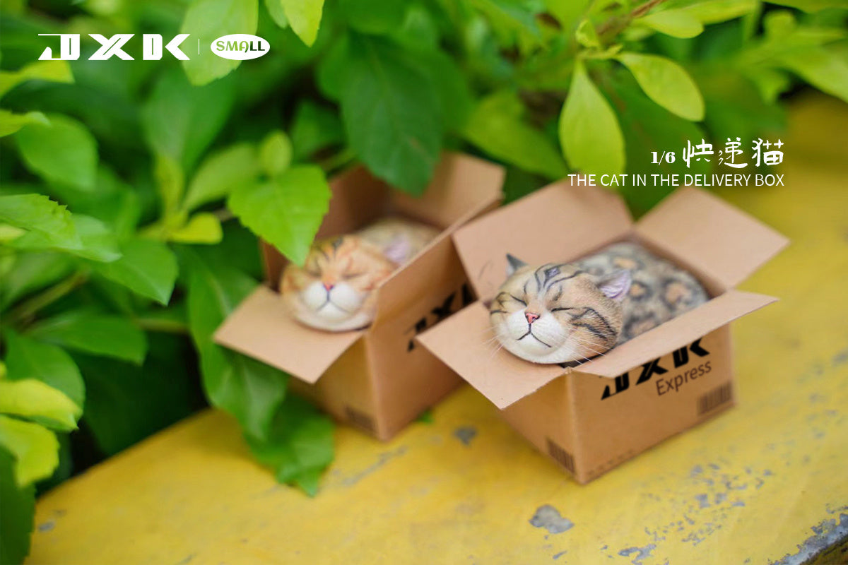JXK The Cat In The Delivery Box Model
