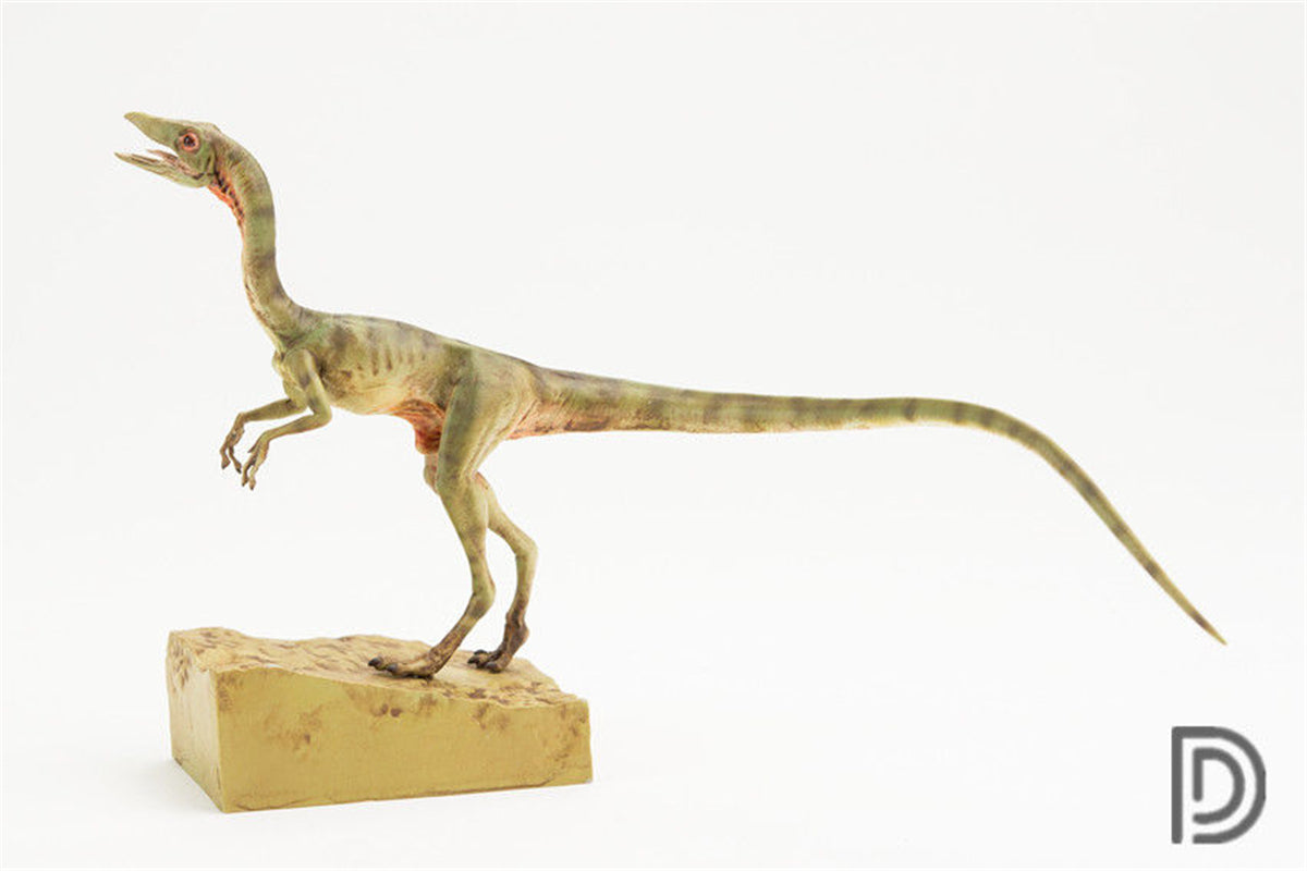 DINO DREAM 1/5 Female Compsognathus Statue