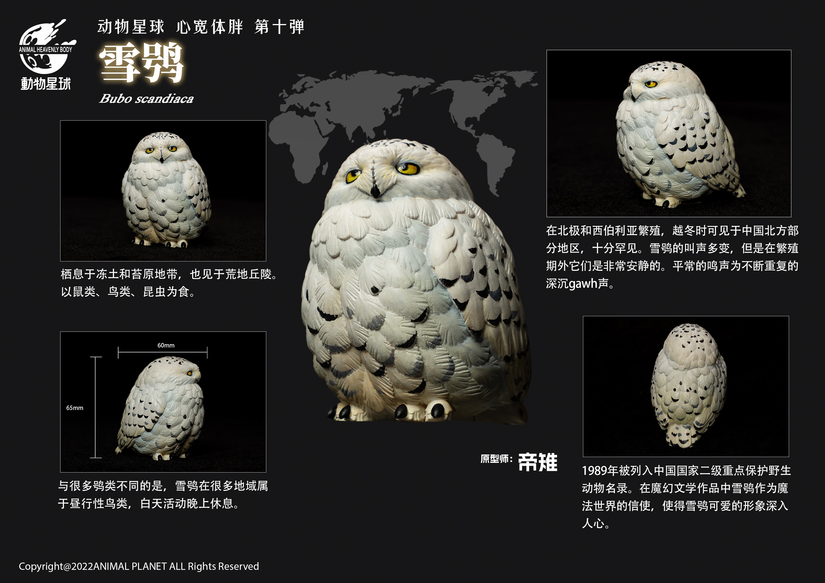 Animal Planet 10 Birds Blind Box Model