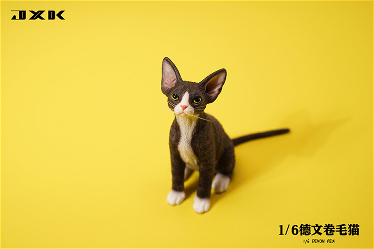 JXK 1/6 Devon Rex Model