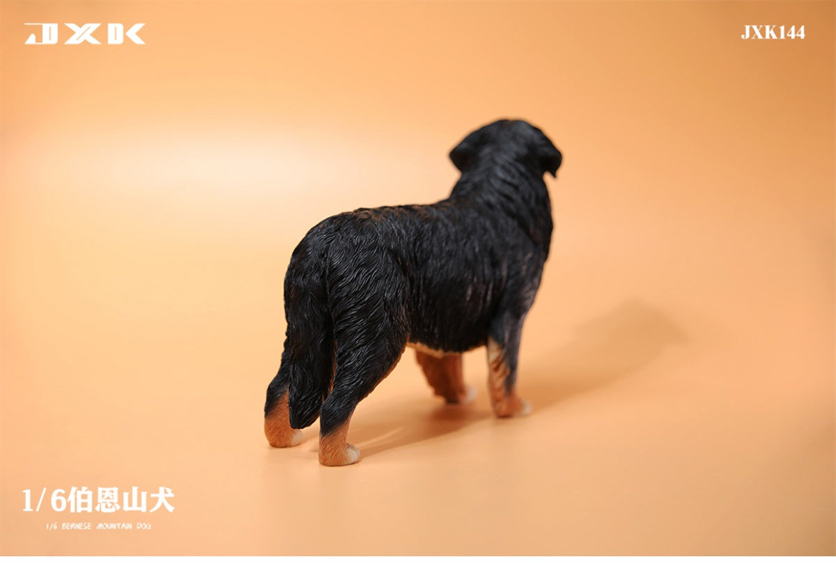 JXK 1/6 Bernese Mountain Dog Model