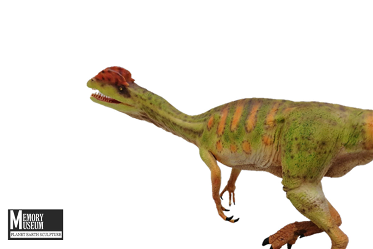 Memory Museum x Planet Earth 1/15 Dilophosaurus Statue