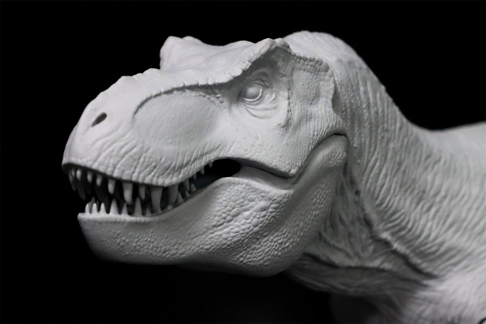 Nanmu Tyrannosaurus Alpha 2.0 Model