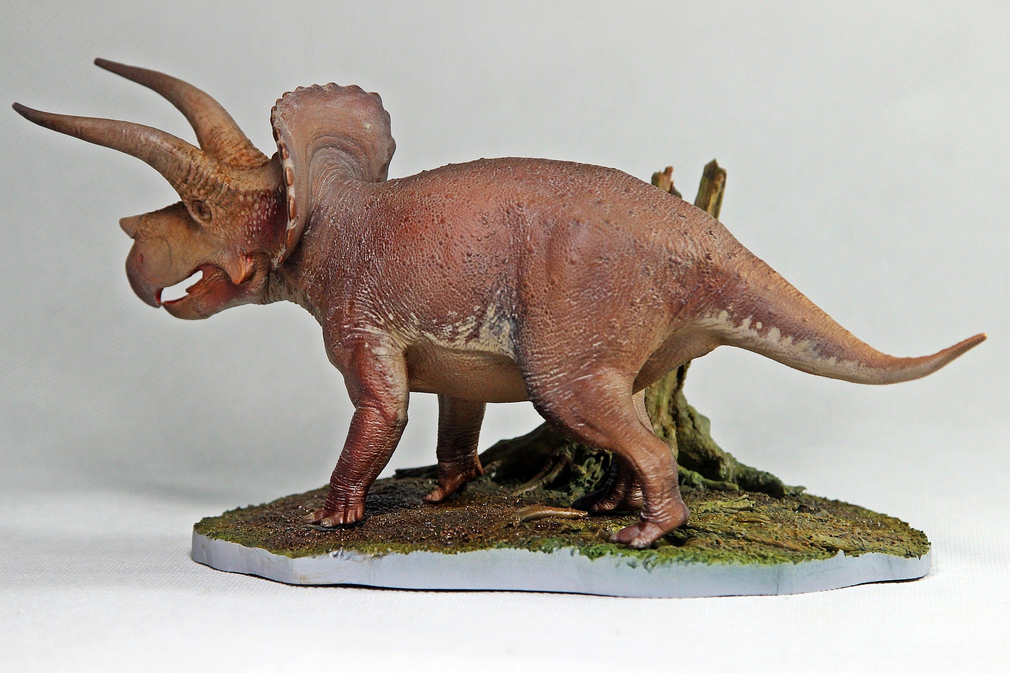 De CLAY Studio Triceratops prorsus Scene Statue Kit
