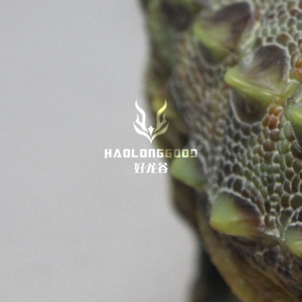HAOLONGGOOD 1:35 Scale Tianzhenosaurus Model