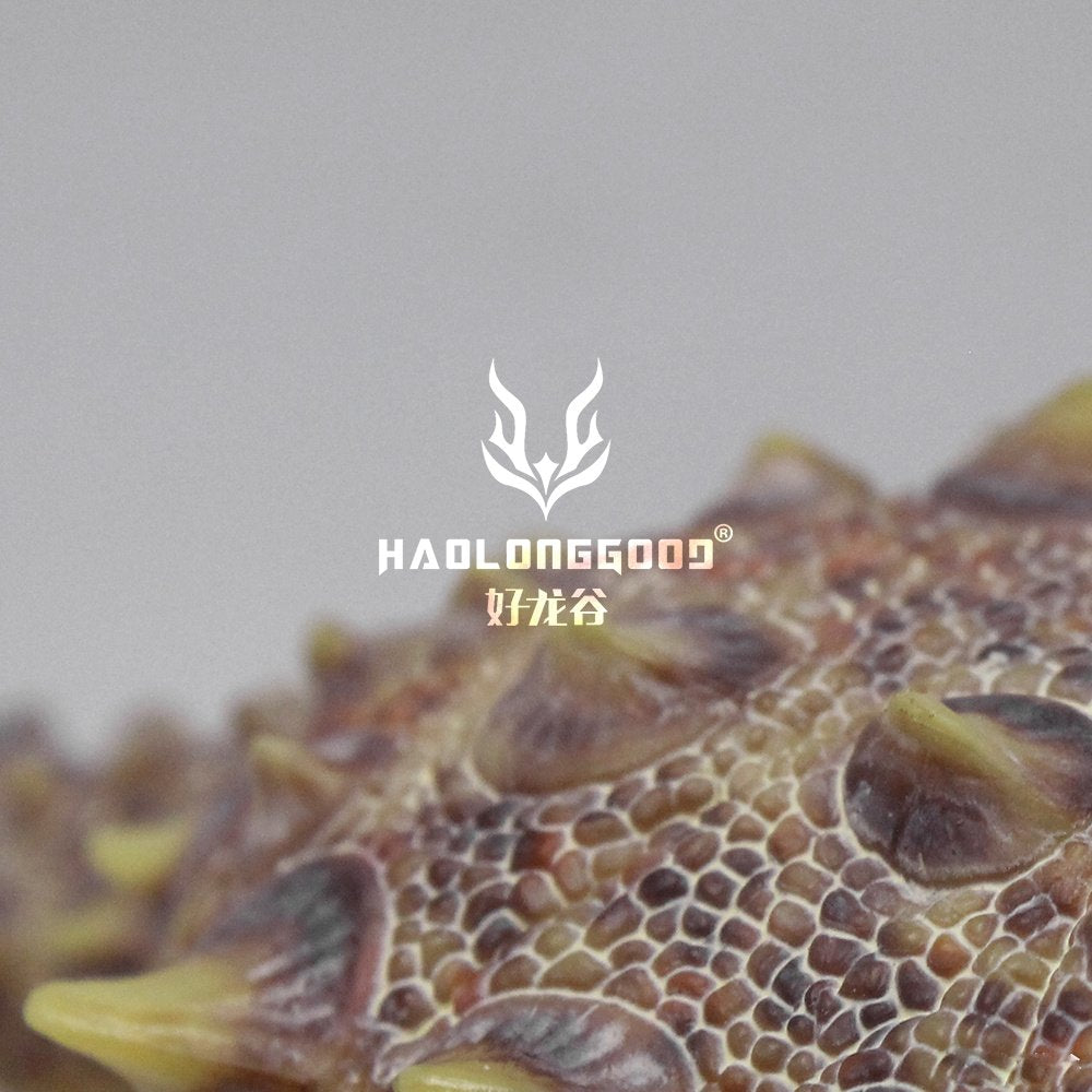 HAOLONGGOOD 1:35 Scale Tianzhenosaurus Model