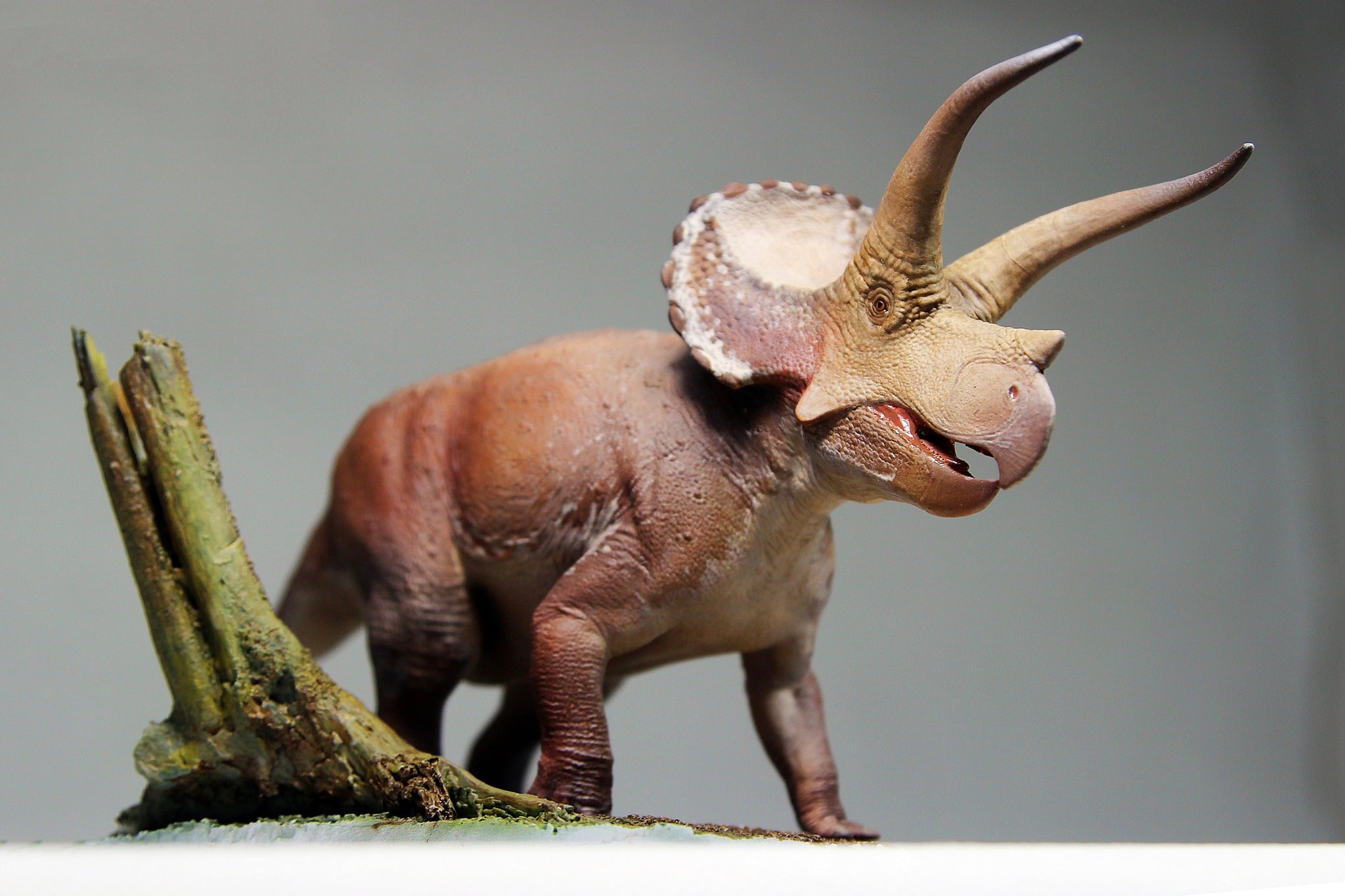 De CLAY Studio Triceratops prorsus Scene Statue Kit