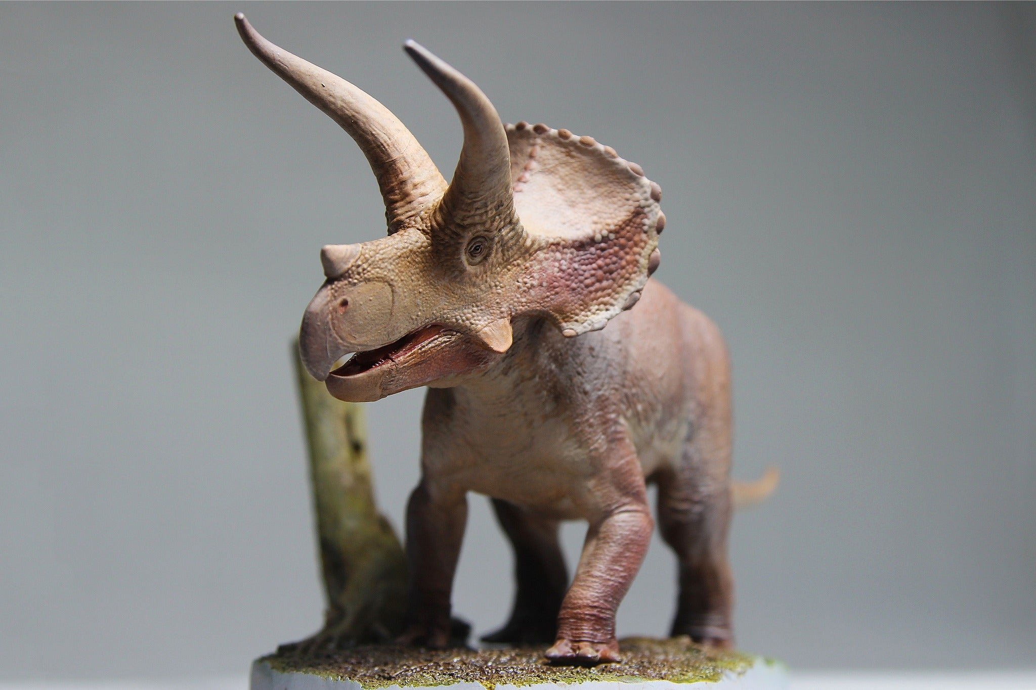 De CLAY Studio Triceratops prorsus Scene Statue Kit