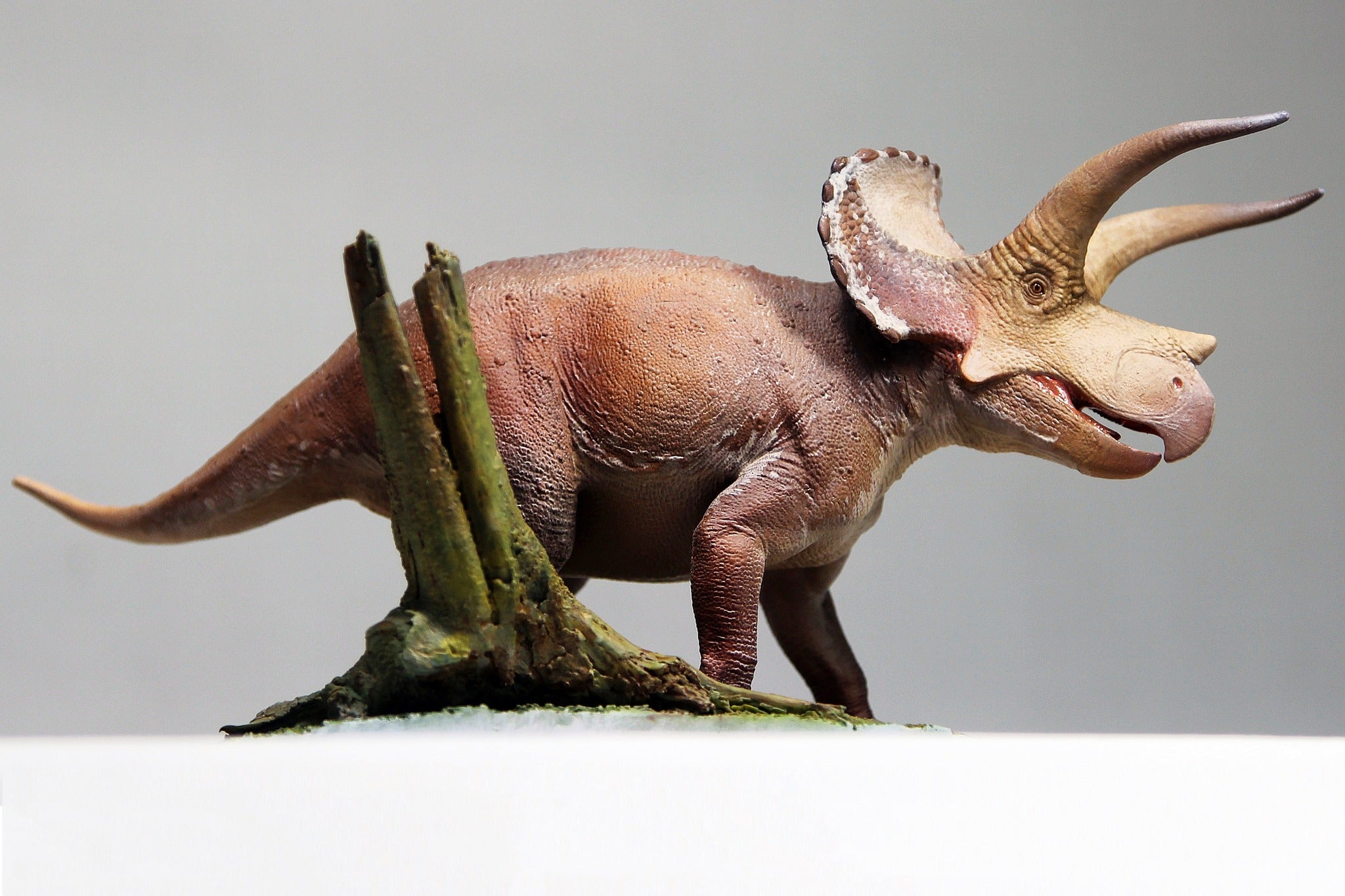 De CLAY Studio Triceratops prorsus Scene Statue Kit