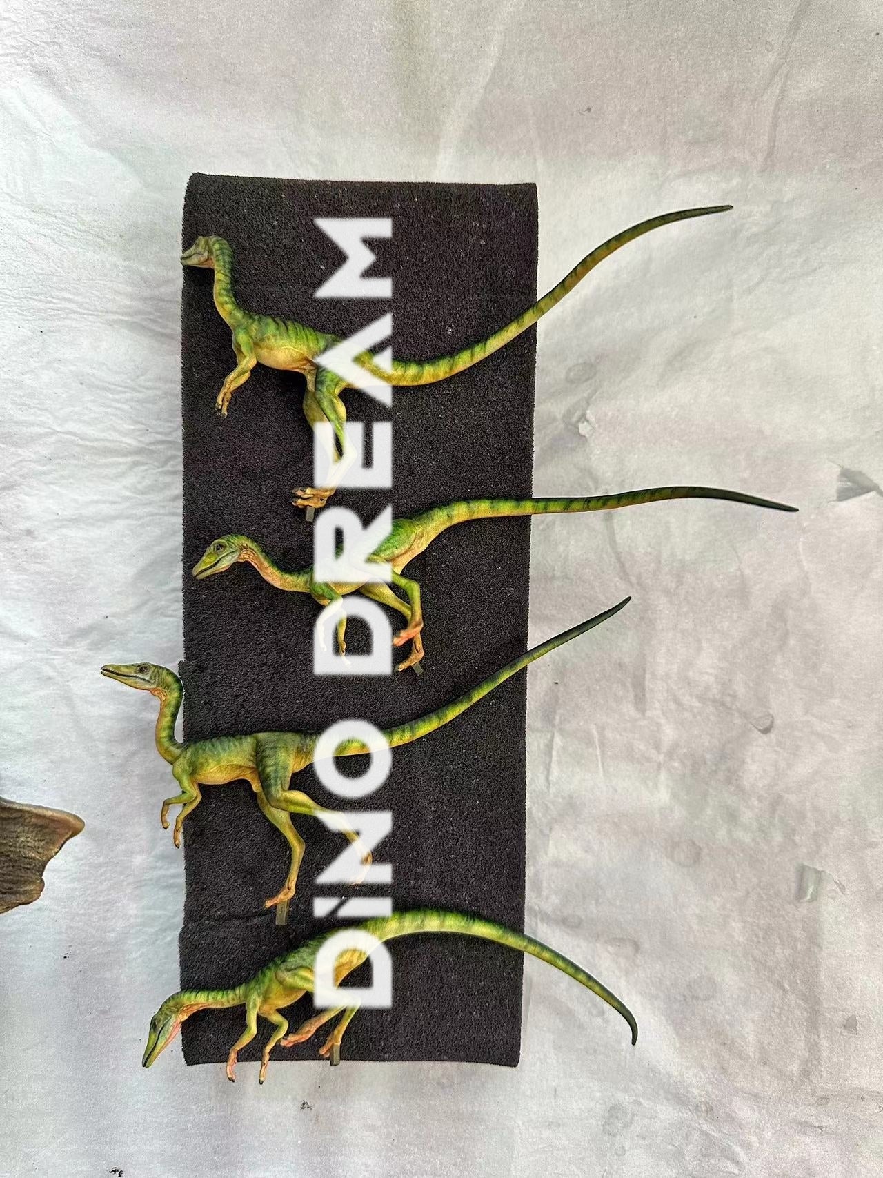 DINO DREAM 1/5 Scale Compsognathus Statue