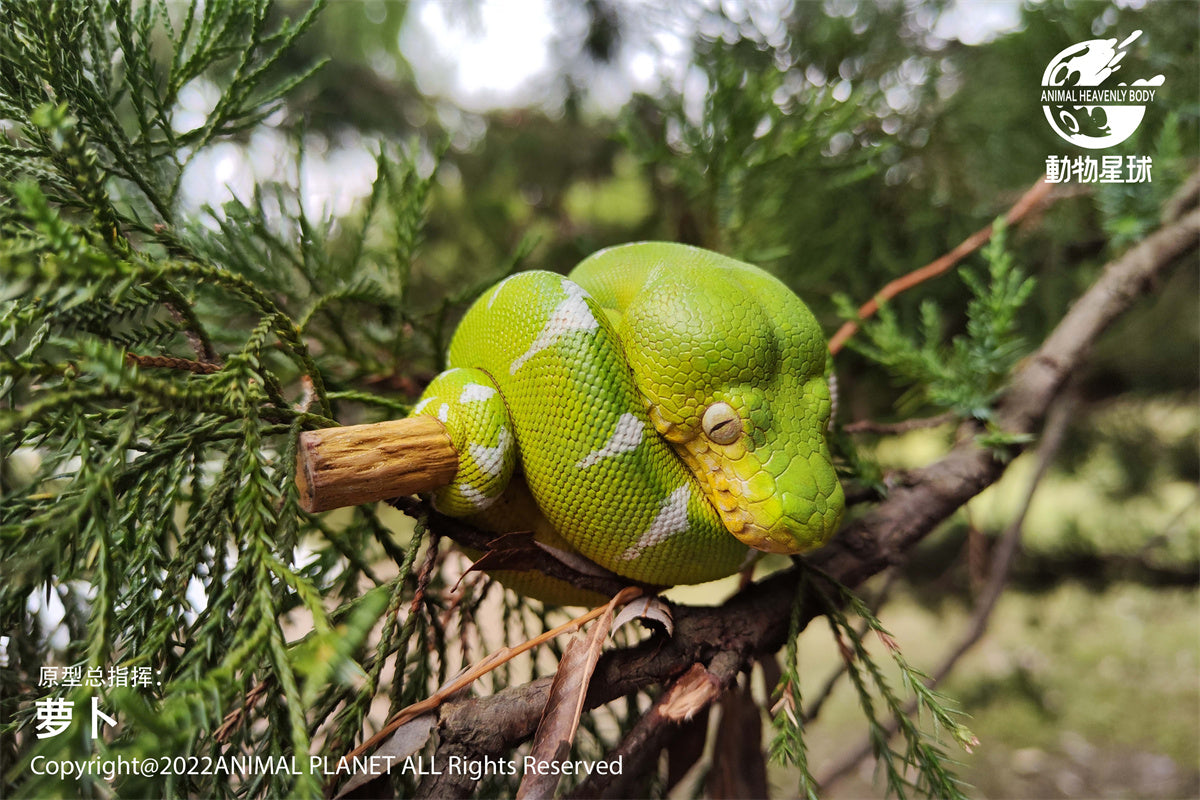 Animal Planet 09 Snake 2.0 Blind Box Model