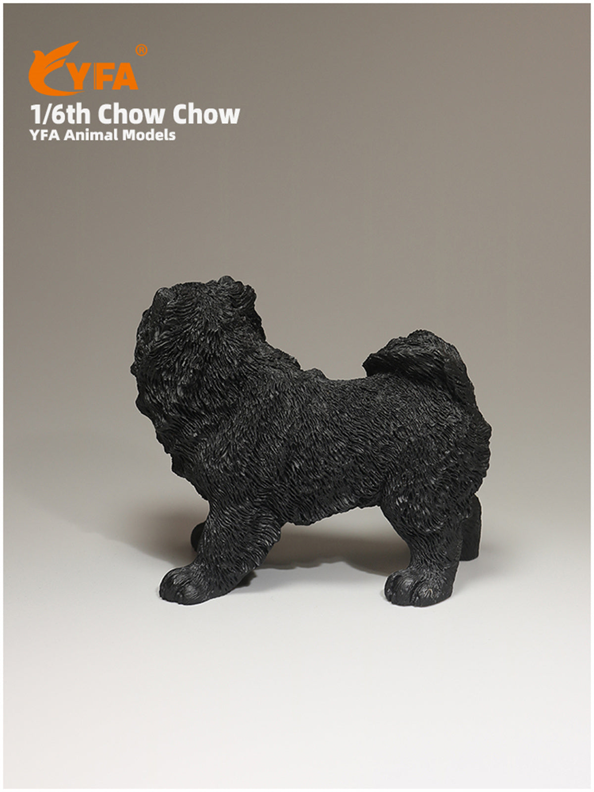 JJM 1/6 Chow Chow Dog Model