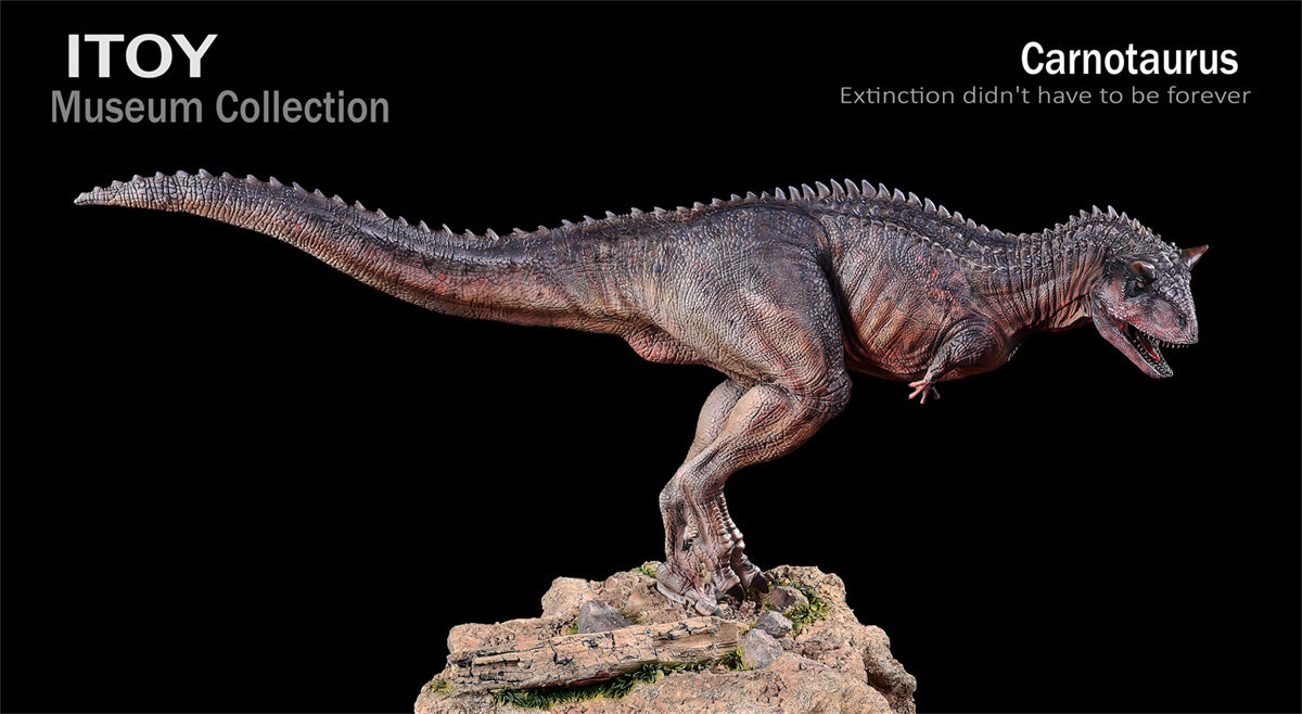ITOY 1/15 Pair Carnotaurus Statue