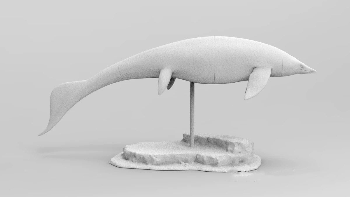 1/35 Himalayasaurus Tibetensis Model