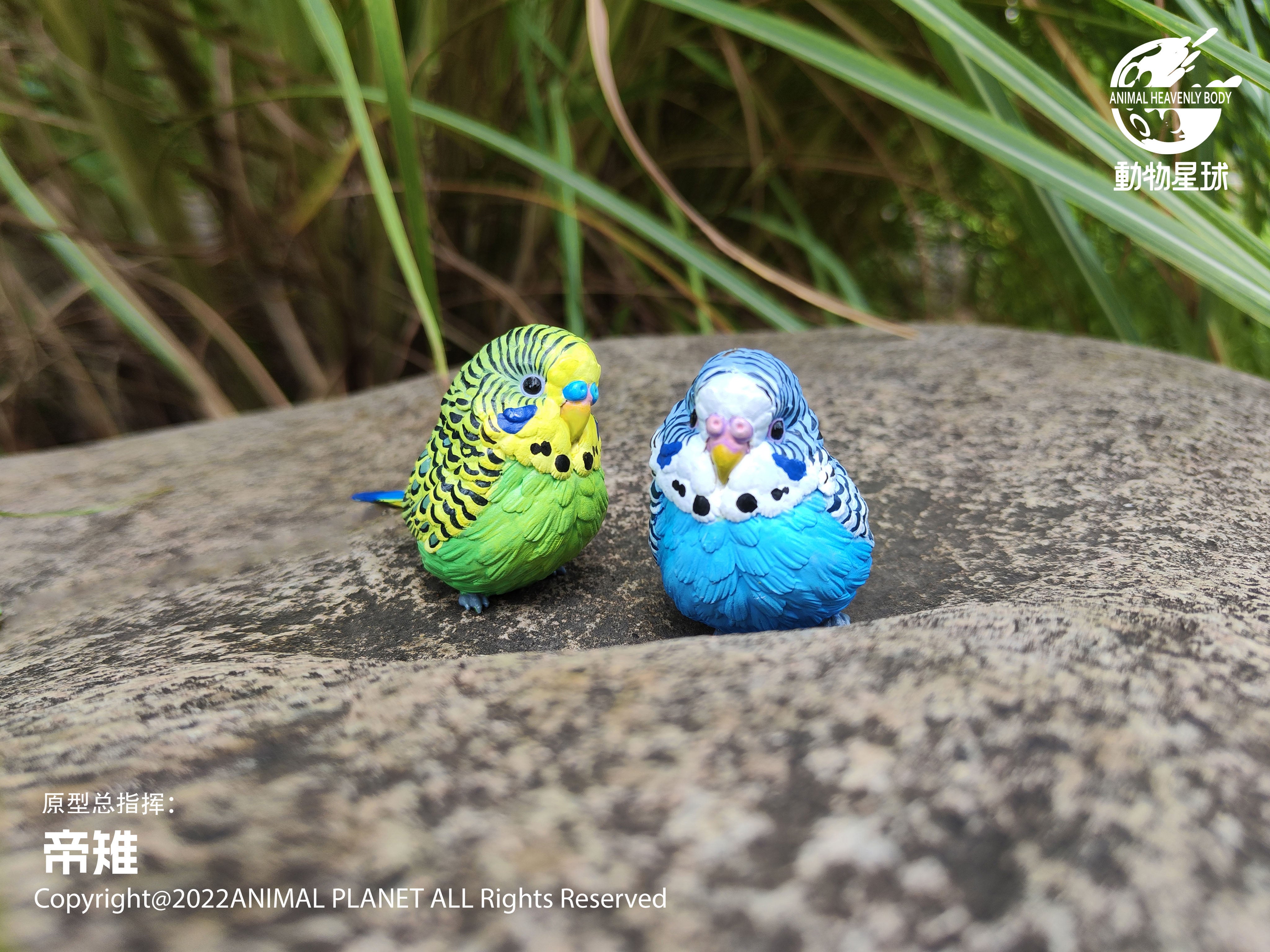 Animal Planet 10 Birds Blind Box Model