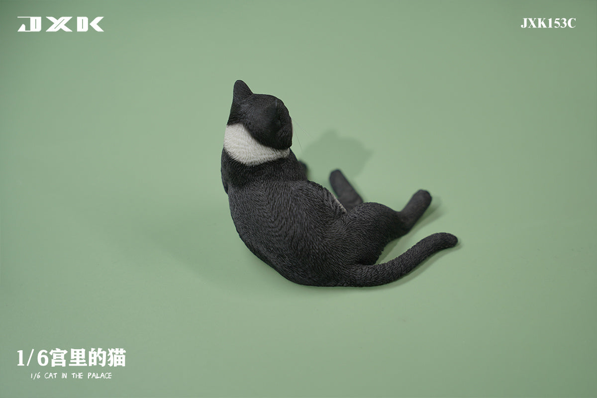 JXK 1/6 Cat In The Place Model