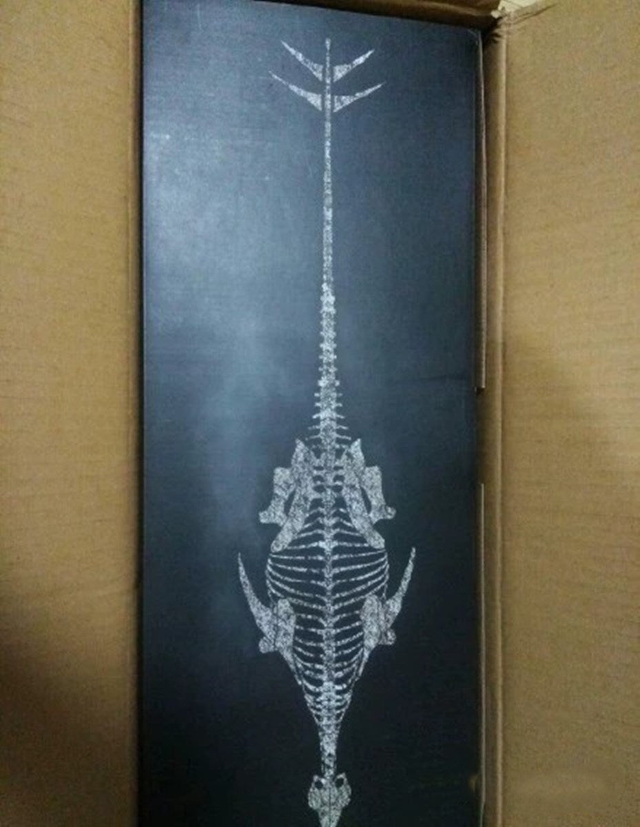 PNSO 1/10 Huayangosaurus taibaii dong Model