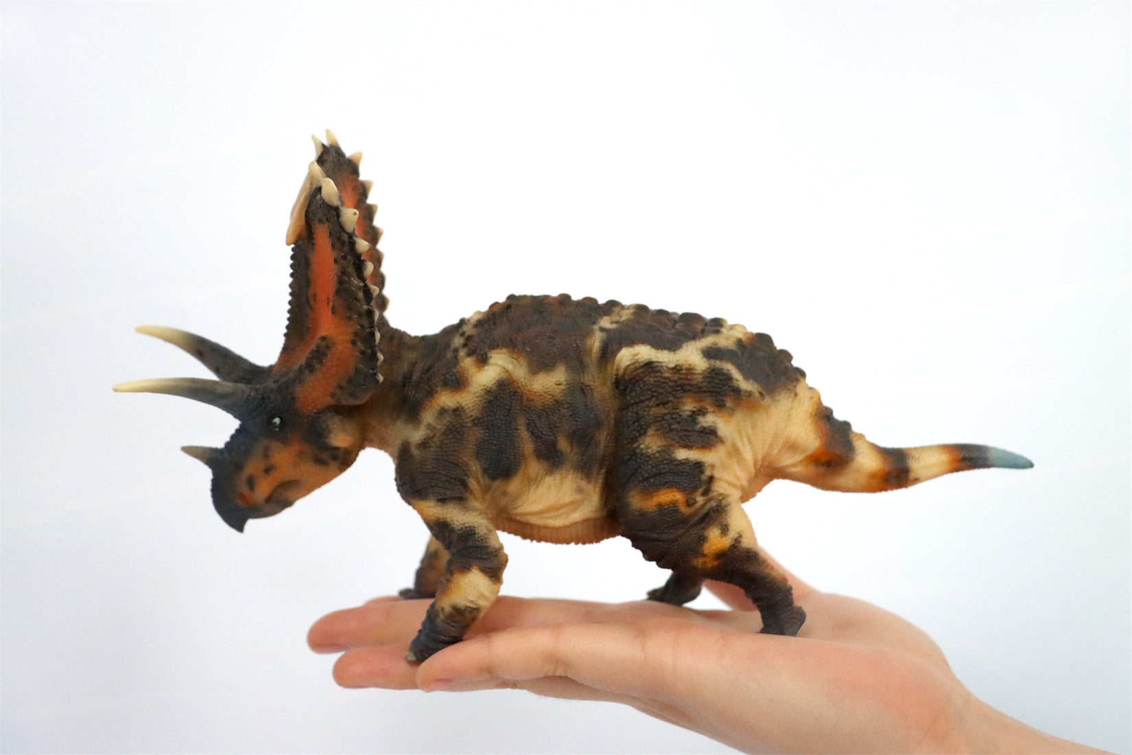 HAOLONGGOOD 1:35 Scale Pentaceratops Model