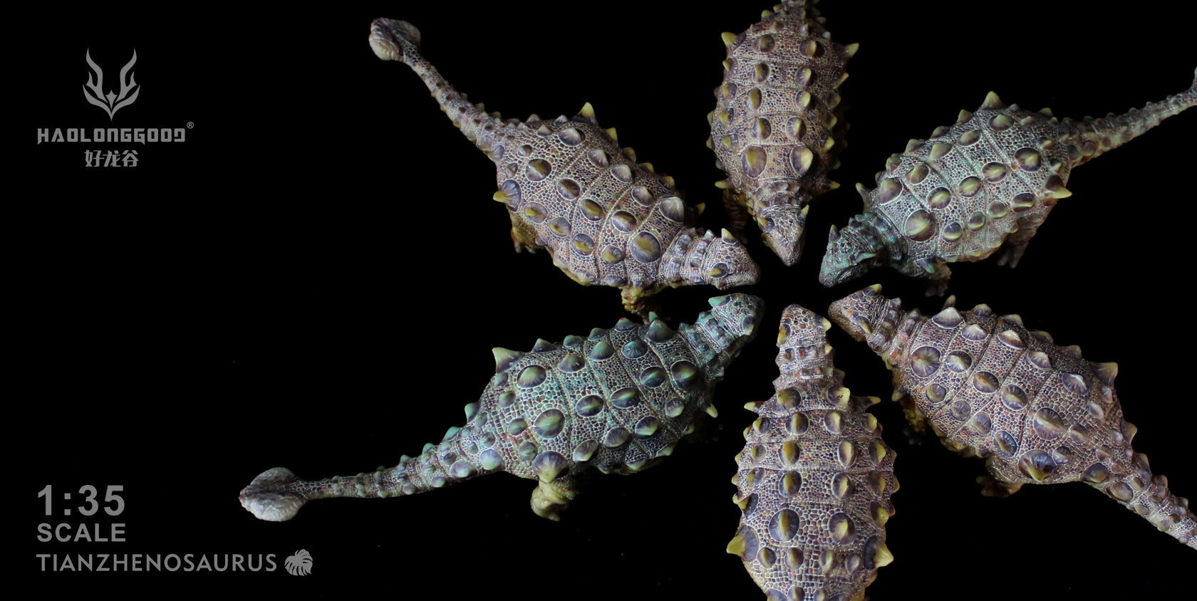 HAOLONGGOOD 1:35 Scale Tianzhenosaurus Model