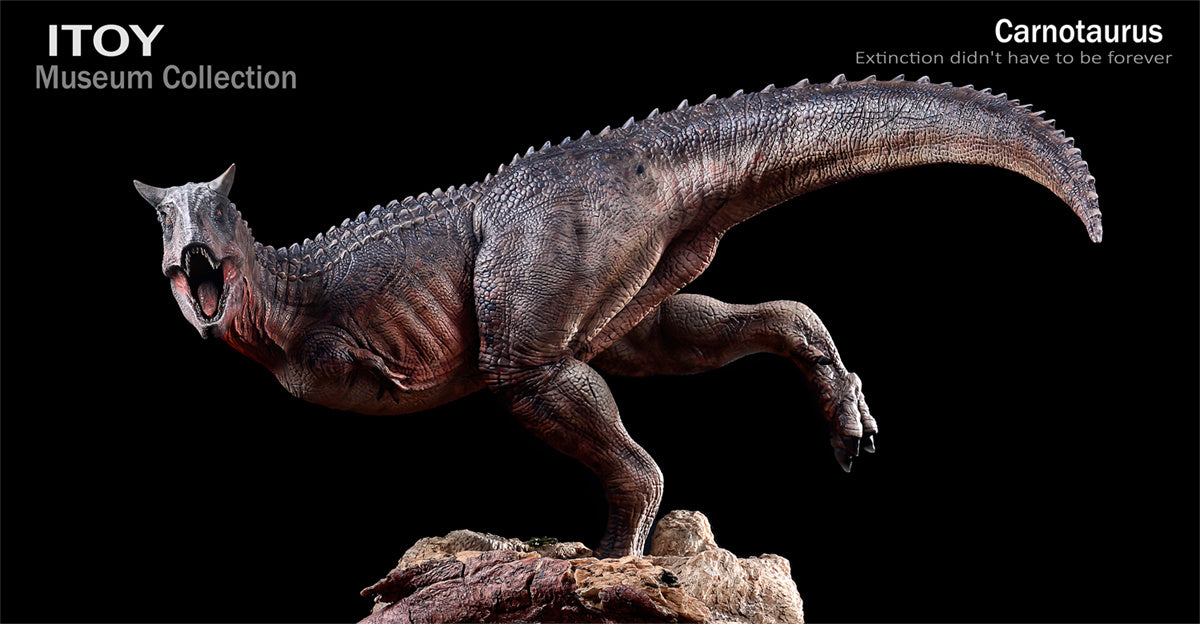ITOY 1/15 Pair Carnotaurus Statue