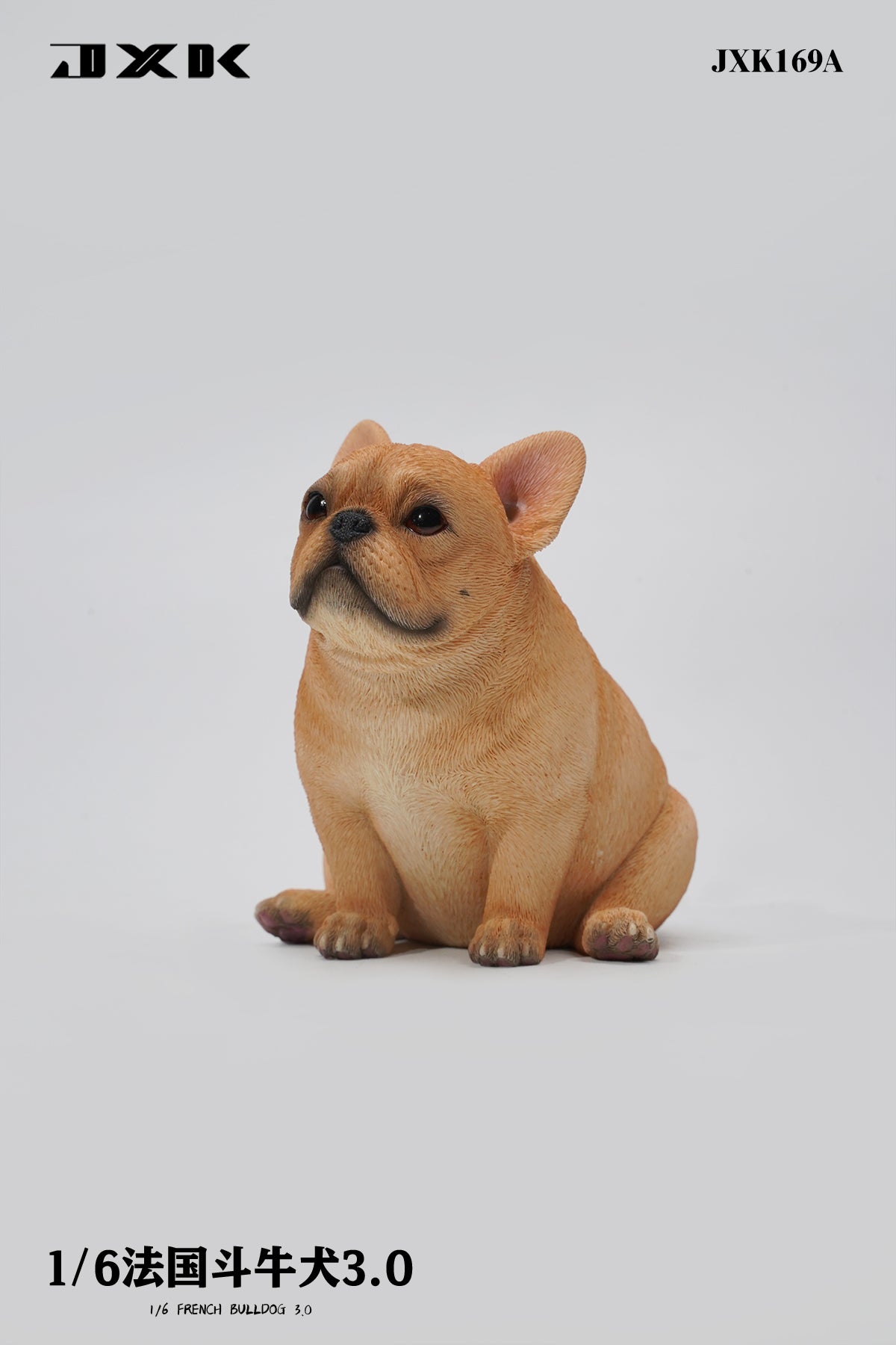 JXK 1/6 French Bulldog 3.0 Model