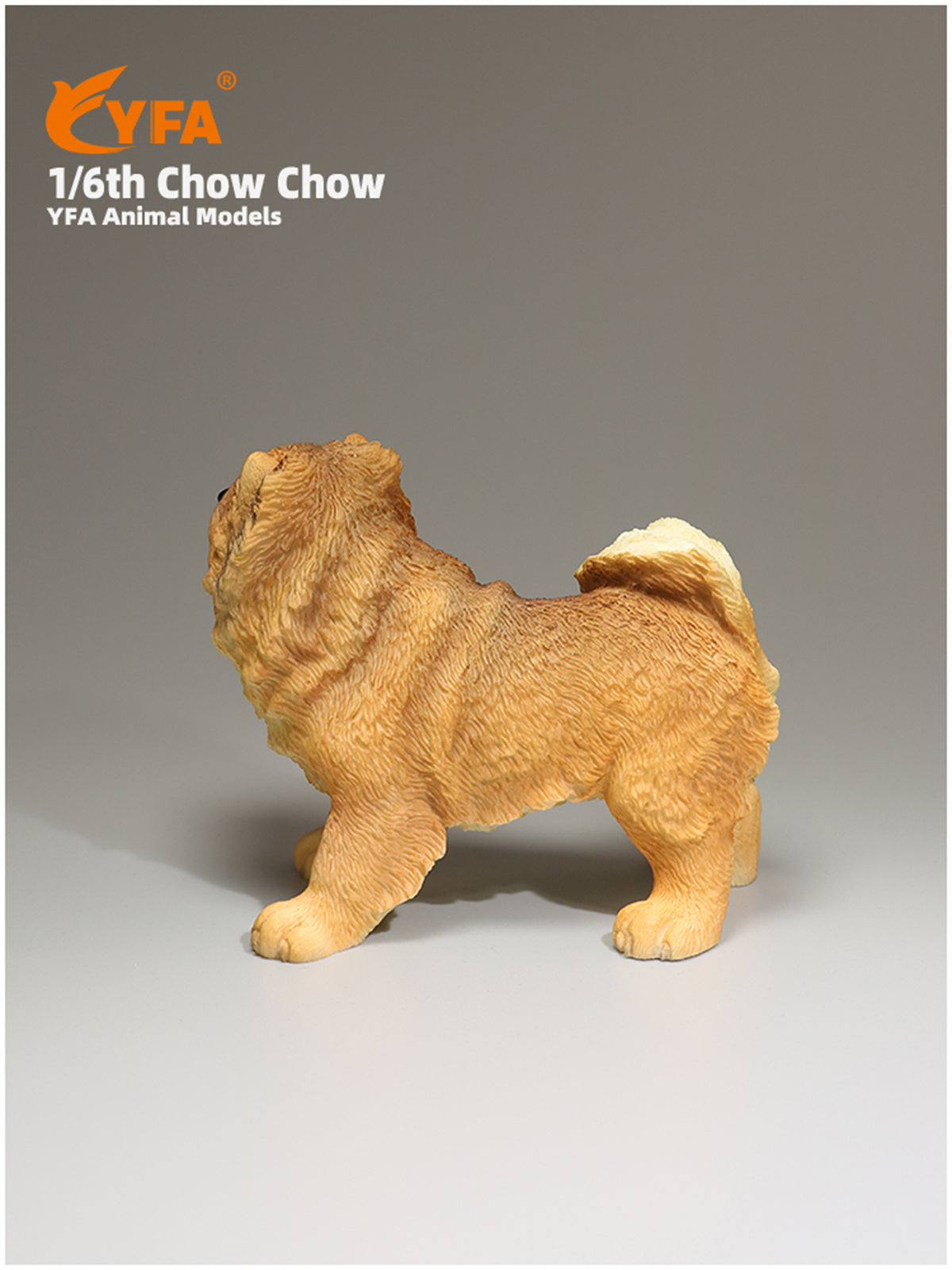 JJM 1/6 Chow Chow Dog Model