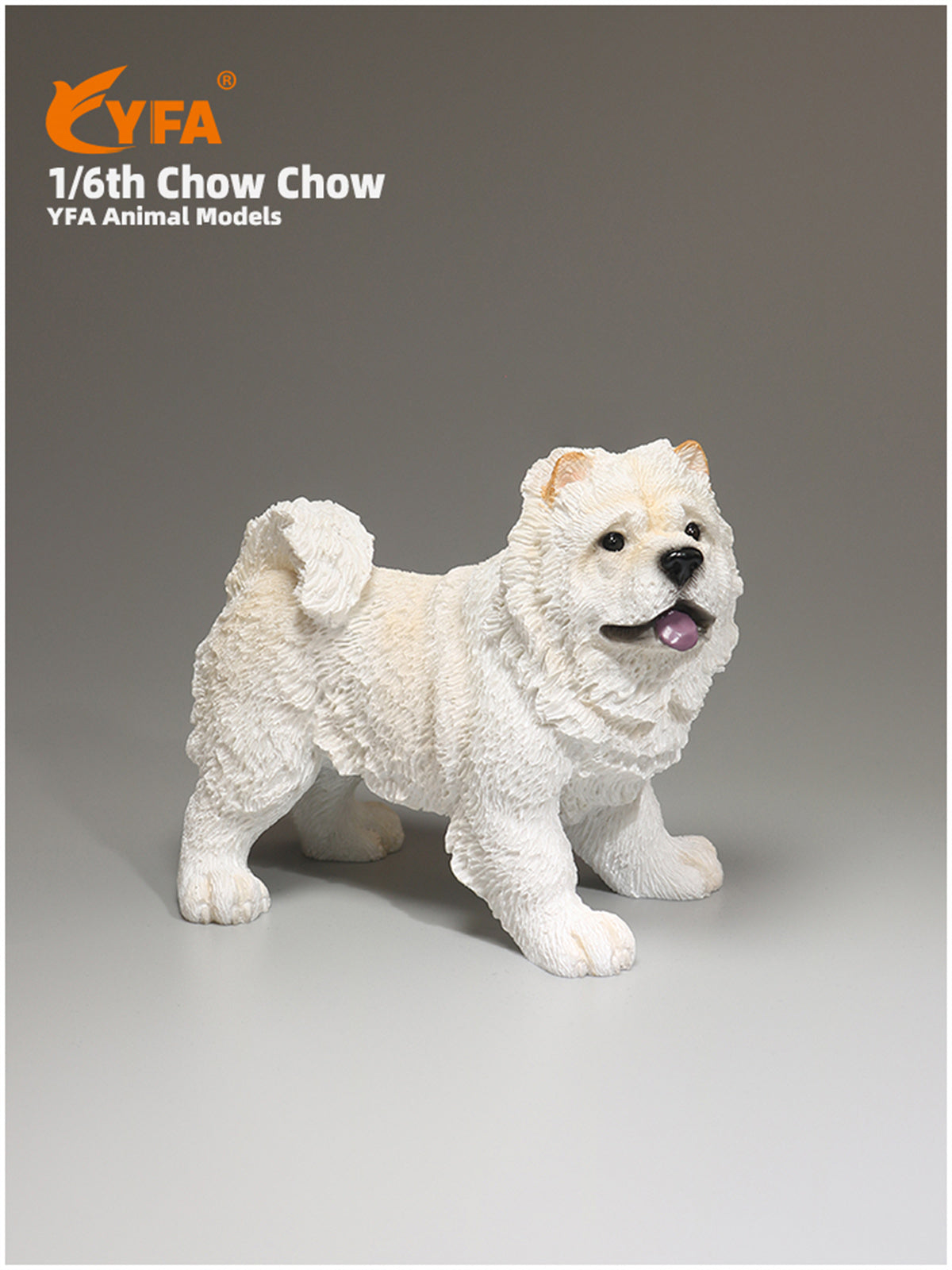 JJM 1/6 Chow Chow Dog Model