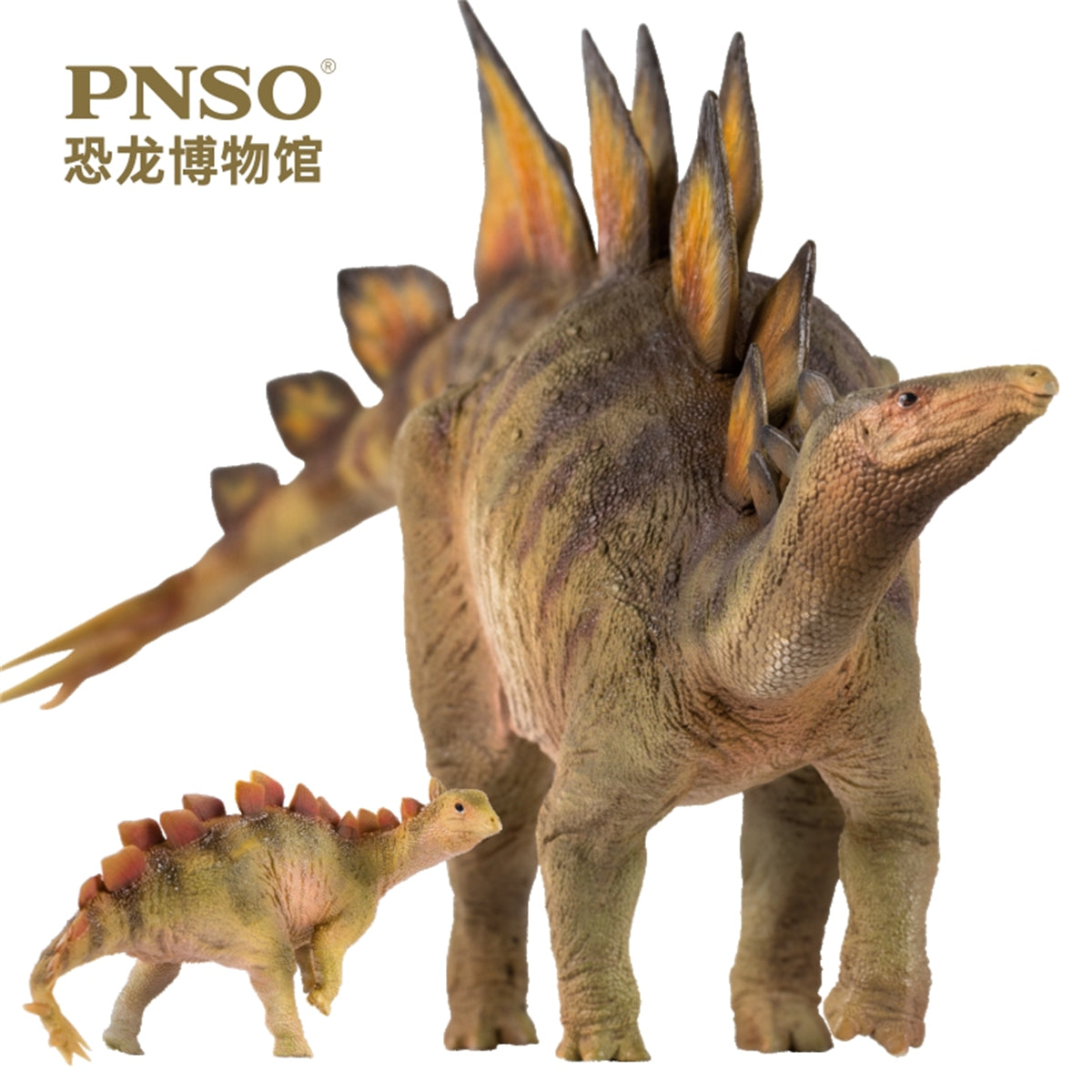 PNSO 1/35 Stegosaurus Biber & Rook Model