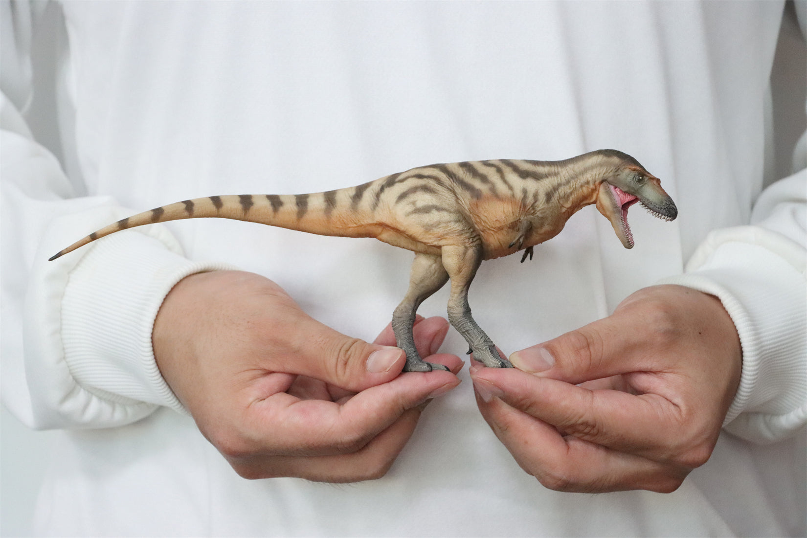 PNSO Gorgosaurus Tristan Model