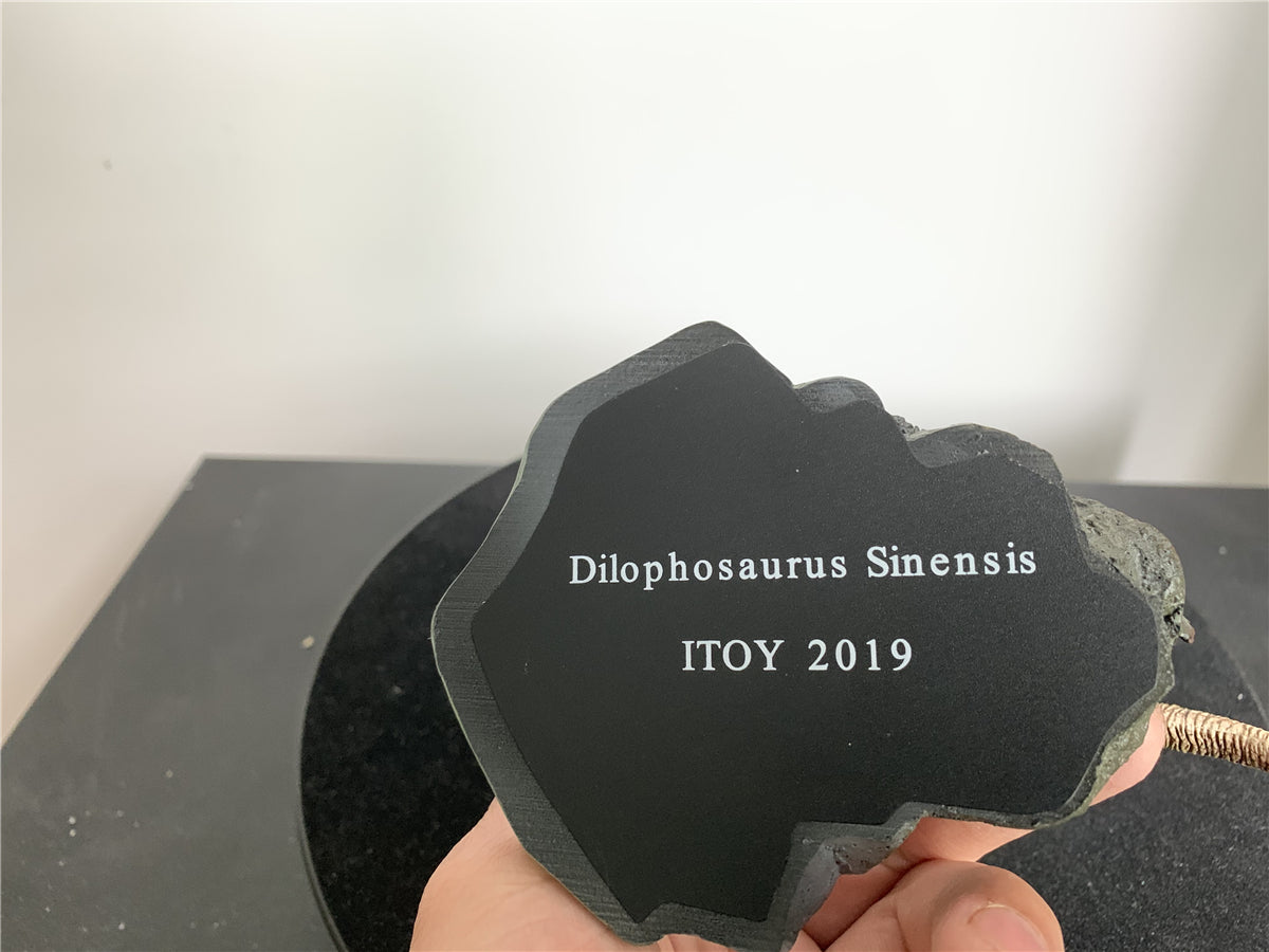 ITOY 2020 Dilophosaurus Statue