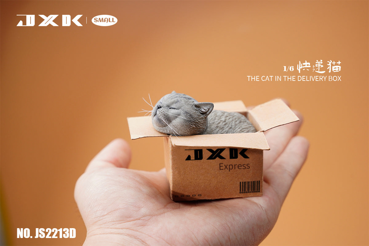 JXK The Cat In The Delivery Box Model