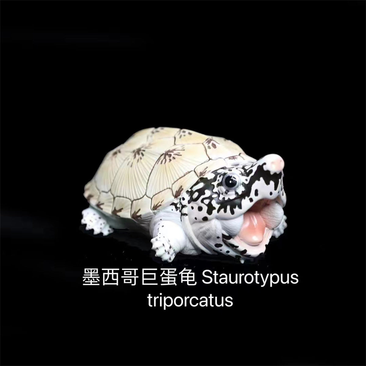 Q Version Turtle Blind Box Model