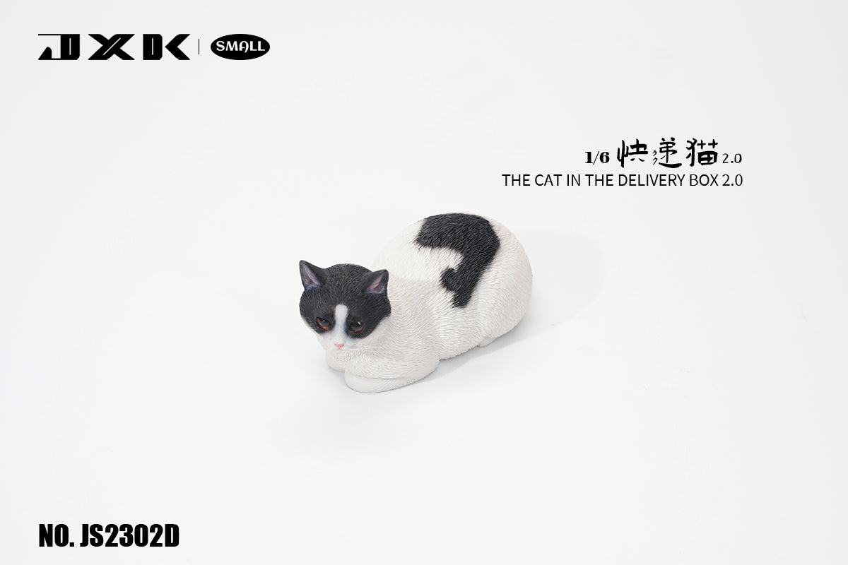 JXK Small The Cat In The Delivery Box 2.0 Model