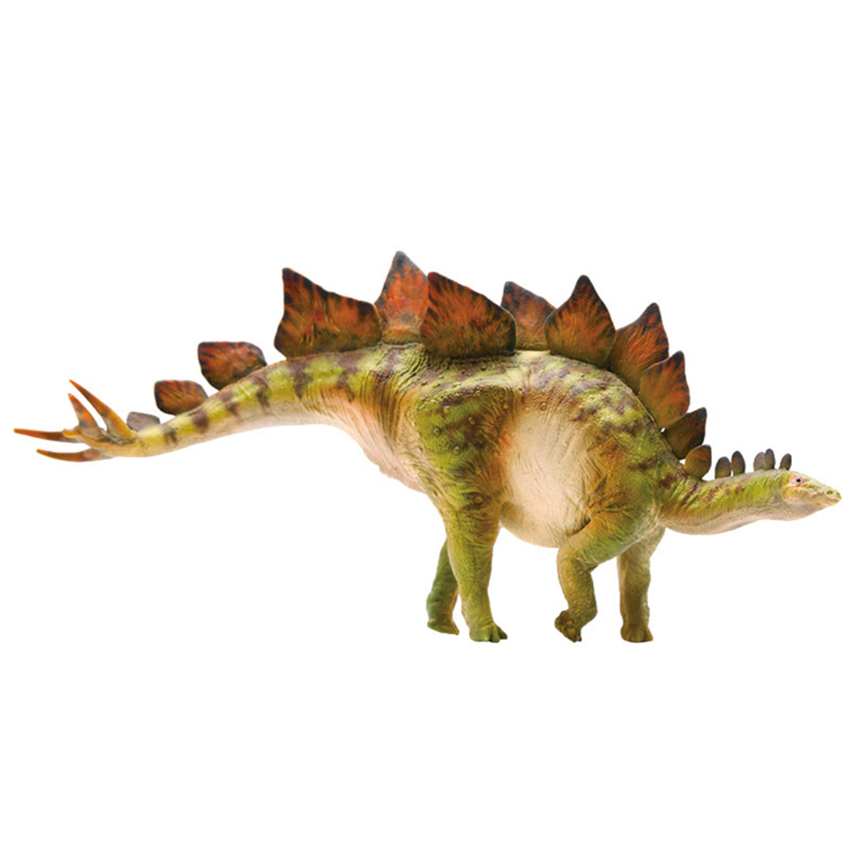 PNSO Stegosaurus Model