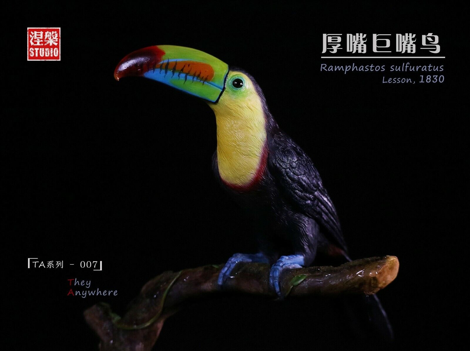 Ramphastos sulfuratus Statue