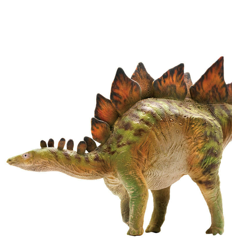 PNSO Stegosaurus Model