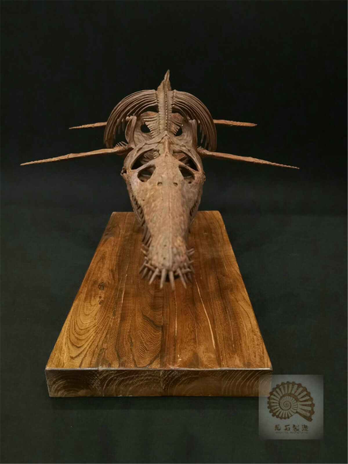 1/6 Liopleurodon Skull Skeleton Model