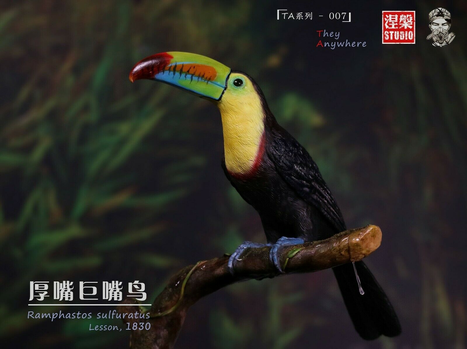 Ramphastos sulfuratus Statue
