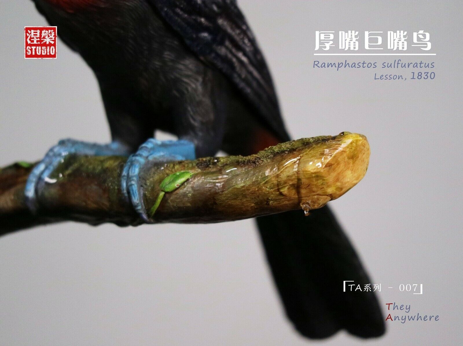 Ramphastos sulfuratus Statue