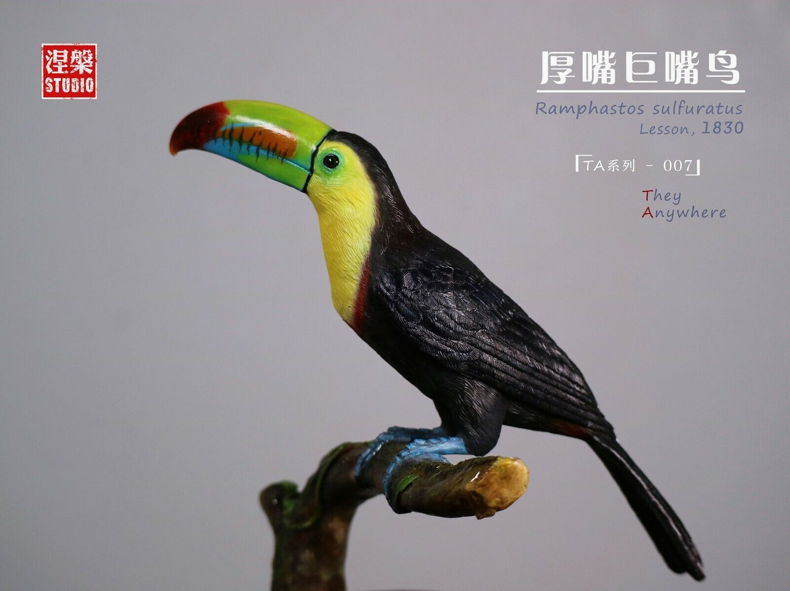 Ramphastos sulfuratus Statue