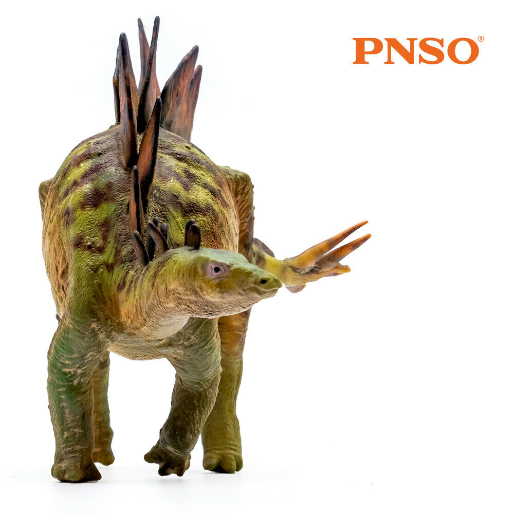 PNSO Stegosaurus Model
