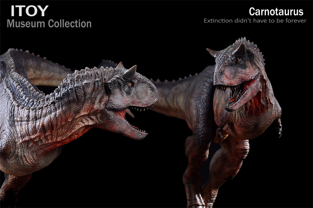 ITOY 1/15 Pair Carnotaurus Statue