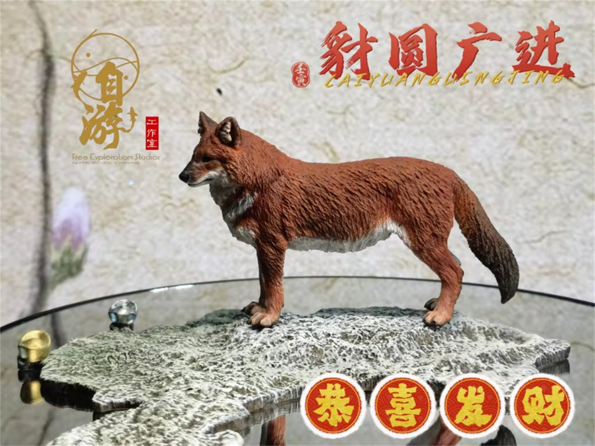 Chinese Dhole and Indian Dhole Model