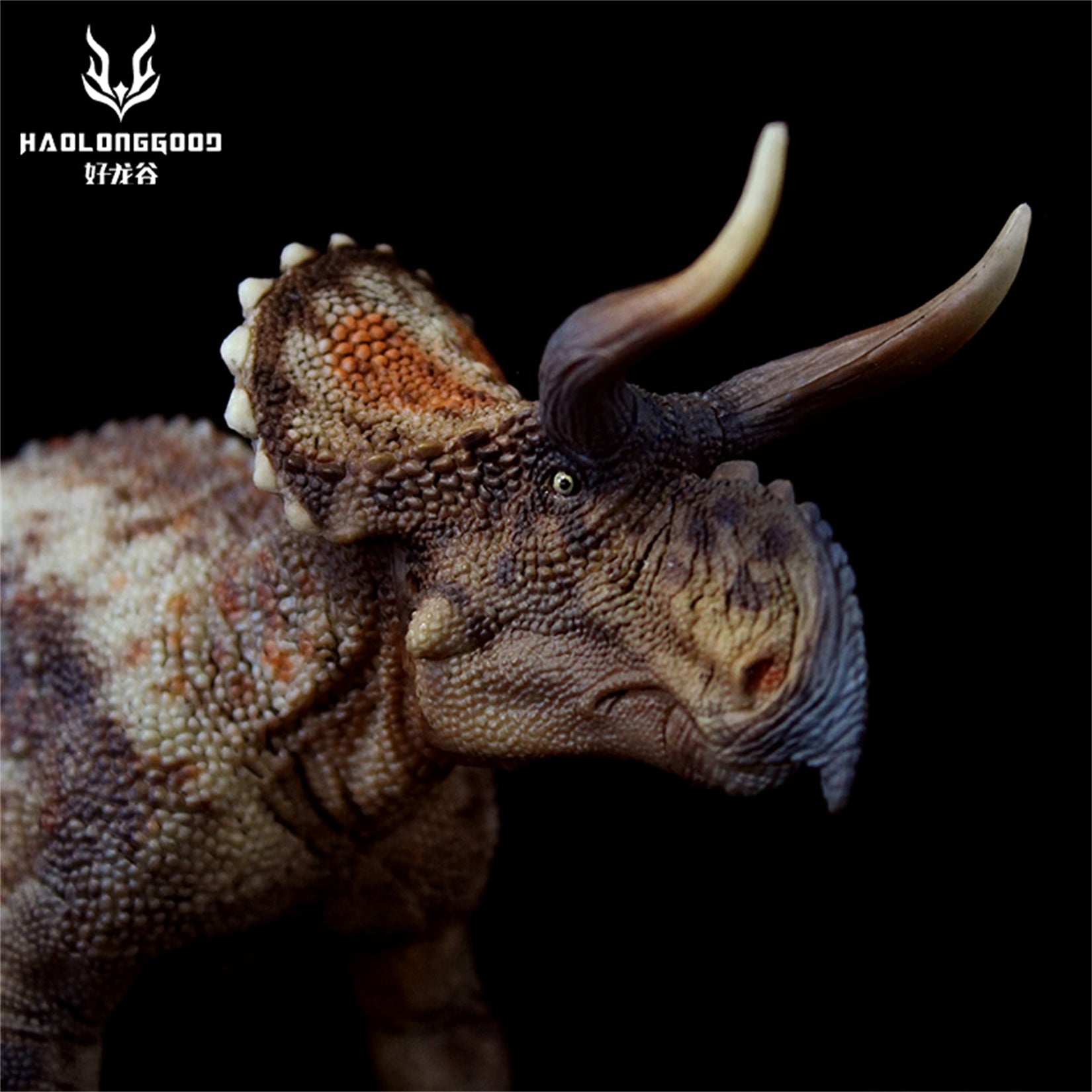 GRTOYS 1:35 Scale Nasutoceratops titusi Model